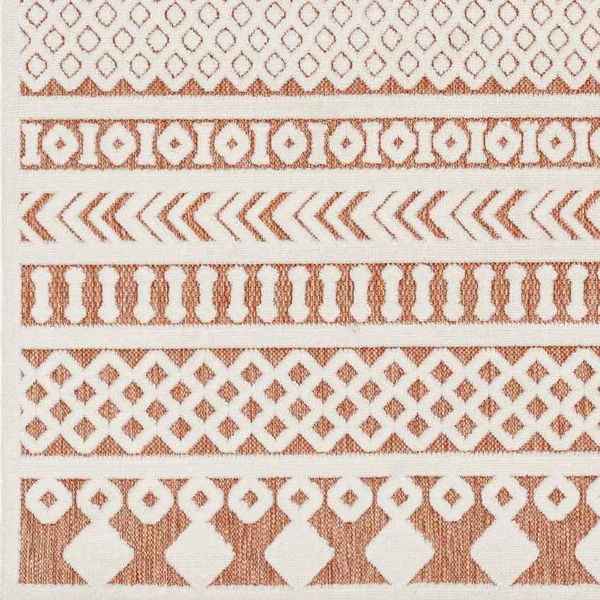 Chapman Modern Burnt Orange Area Rug