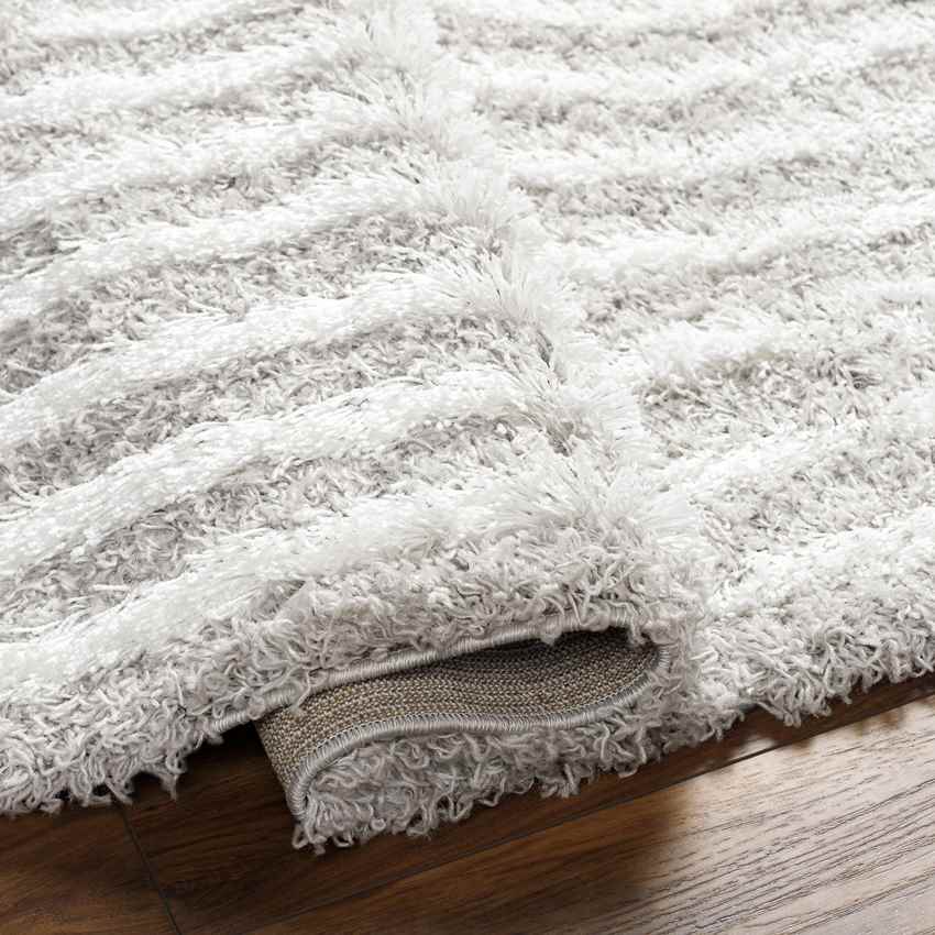 Blanchard Global Light Gray Area Rug