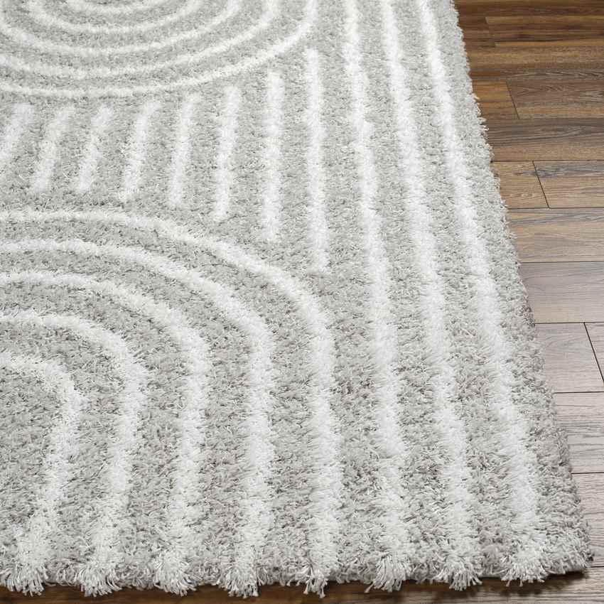 Blanchard Global Light Gray Area Rug