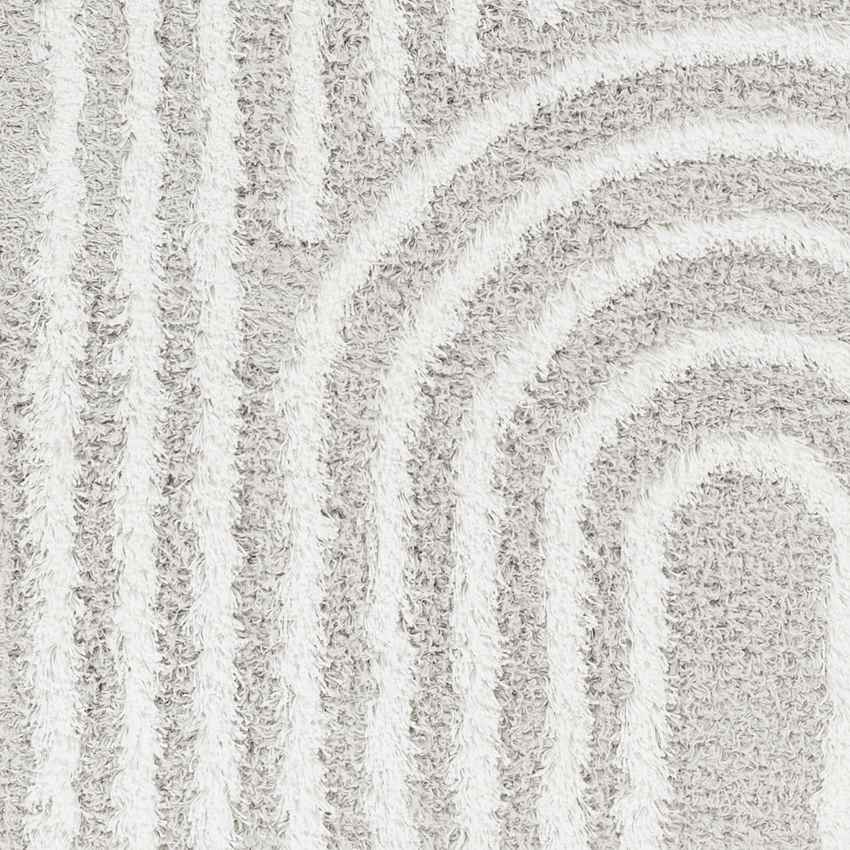 Blanchard Global Light Gray Area Rug