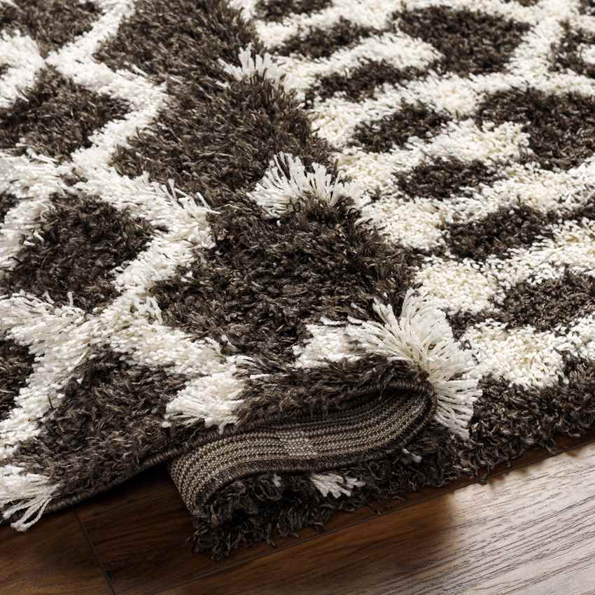 Carter Global Charcoal Area Rug