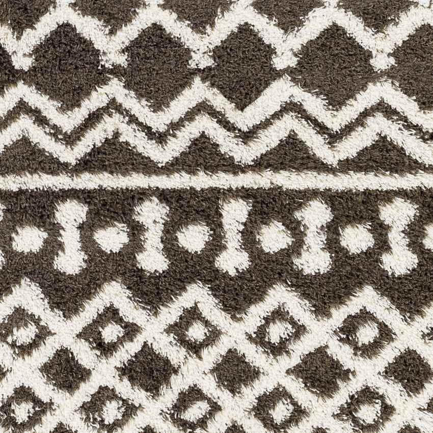 Carter Global Charcoal Area Rug