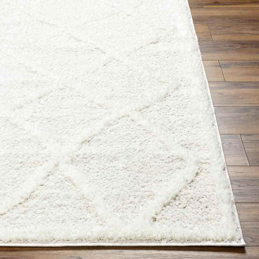 Hutchinson Modern Cream Area Rug