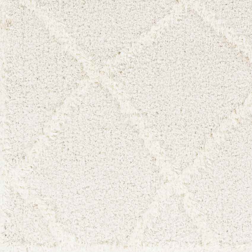 Hutchinson Modern Cream Area Rug