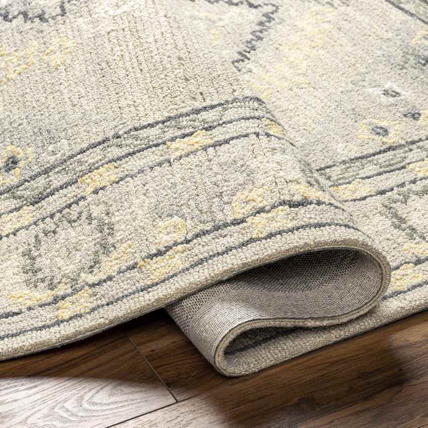 Conway Springs Traditional Khaki/Gray Area Rug