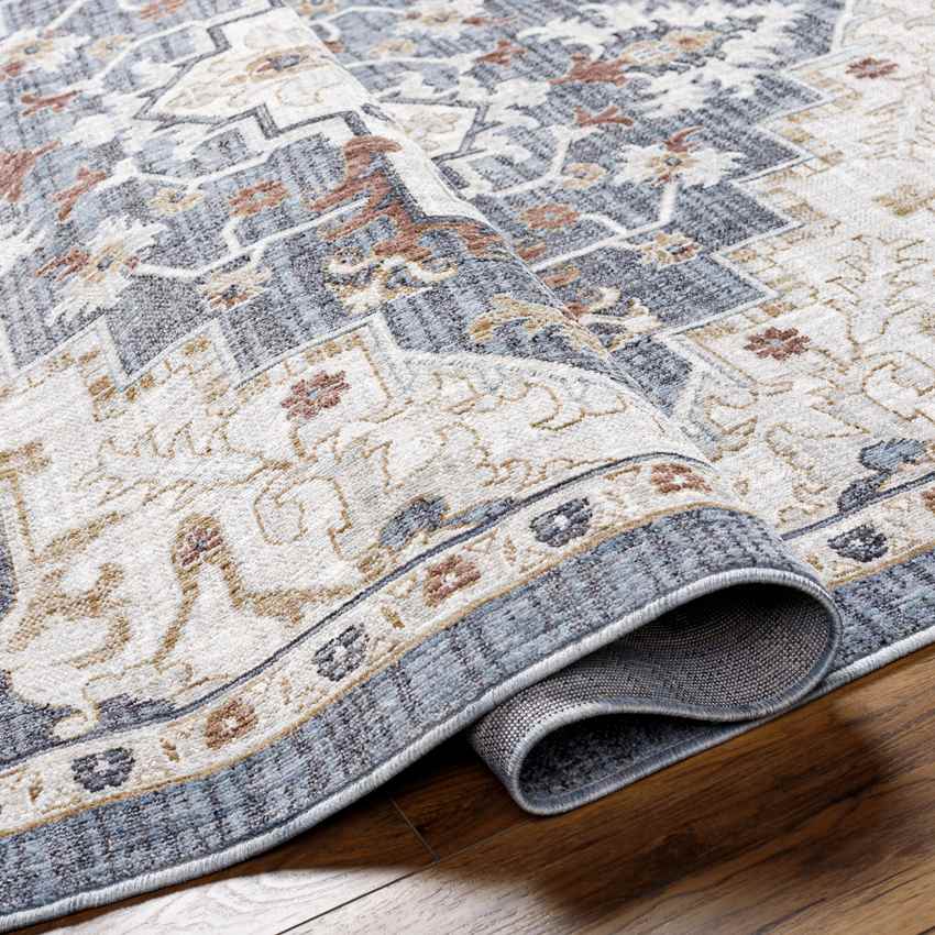 Morrowville Traditional Denim Area Rug