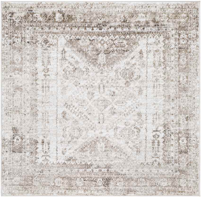 Jules Traditional Brown Area Rug