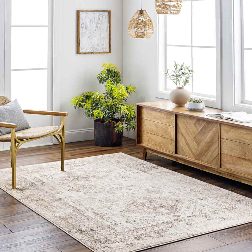 Jules Traditional Brown Area Rug