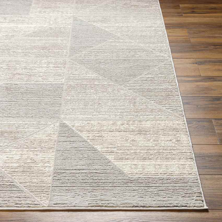 Jaslynn Modern Dark Brown Washable Area Rug