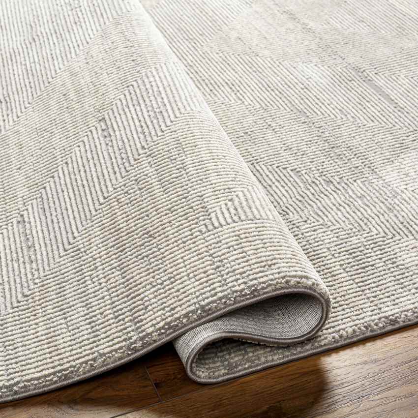 Rigoberto Modern Mocha Washable Area Rug