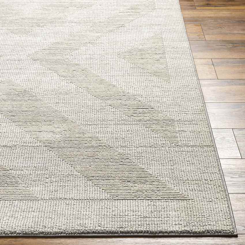Rigoberto Modern Mocha Washable Area Rug