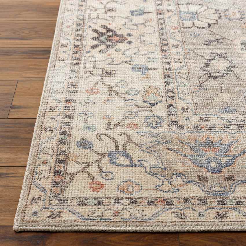 Davina Traditional Camel Area Rug - Becki Owens x Livabliss