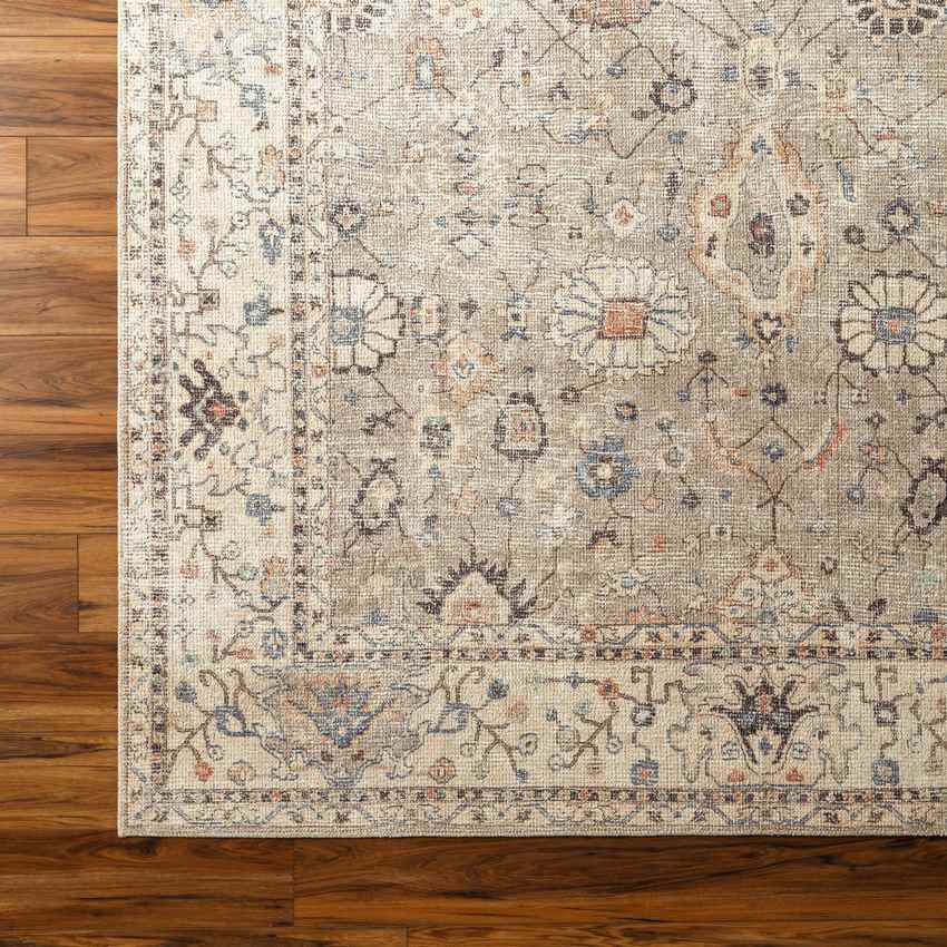 Davina Traditional Camel Area Rug - Becki Owens x Livabliss