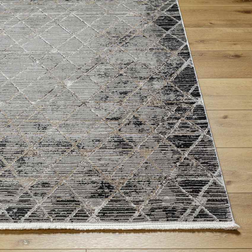Glynis Modern Black/Light Gray Area Rug