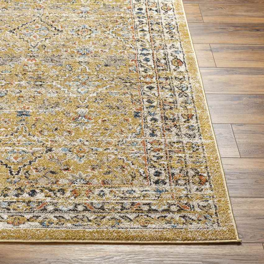 Jerime Traditional Amber Area Rug