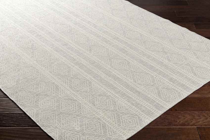 Christophr Global Light Gray/Cream Area Rug