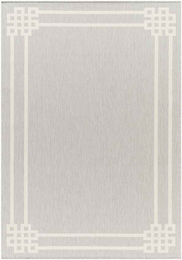 Davinia Modern Light Gray/Ivory Area Rug