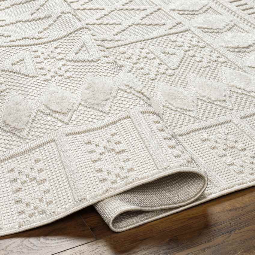 Eryca Modern Beige Area Rug