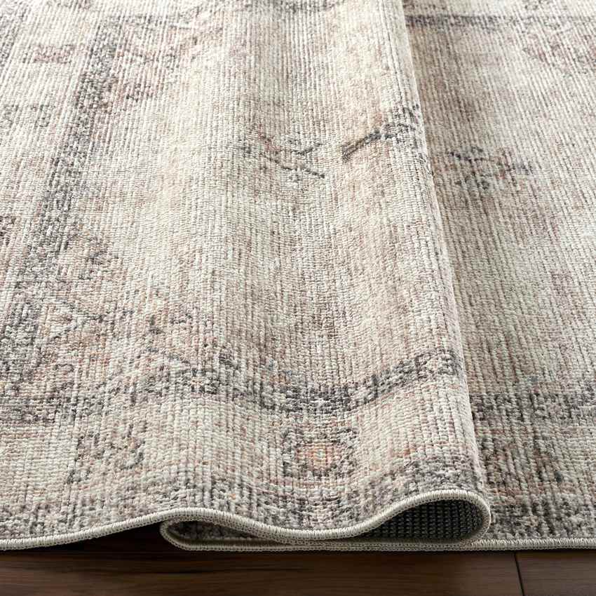 Lila Traditional Blush/Beige Area Rug - Becki Owens x Livabliss