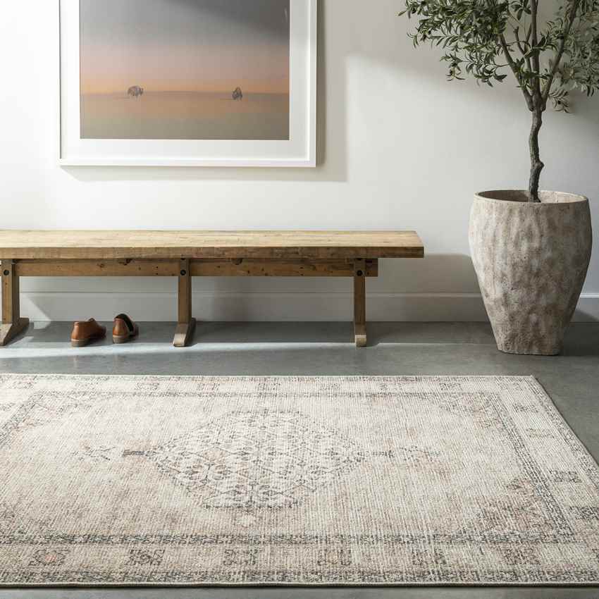 Lila Traditional Blush/Beige Area Rug - Becki Owens x Livabliss