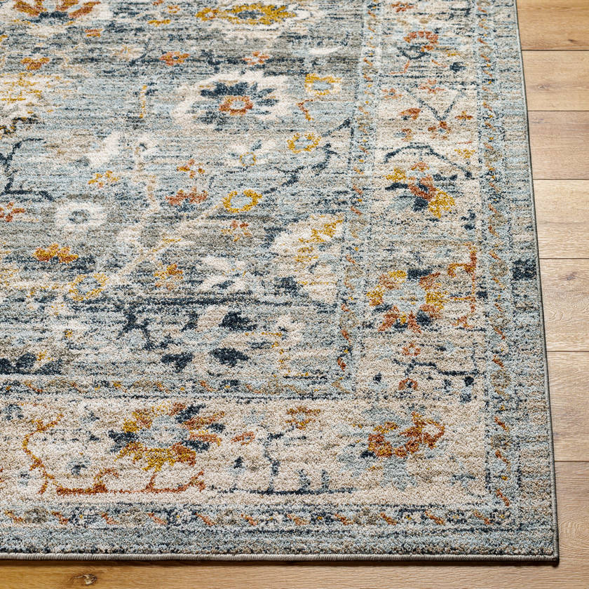 Tanina Traditional Light Gray/Pale Blue Area Rug