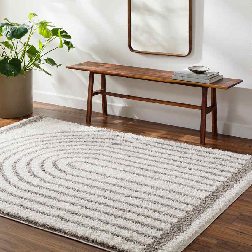 Dainelle Global Light Gray Area Rug