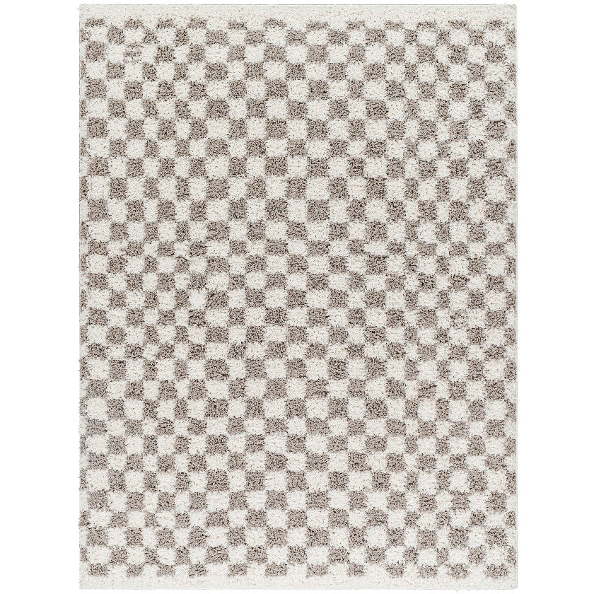 Emmitt Modern Light Gray Area Rug