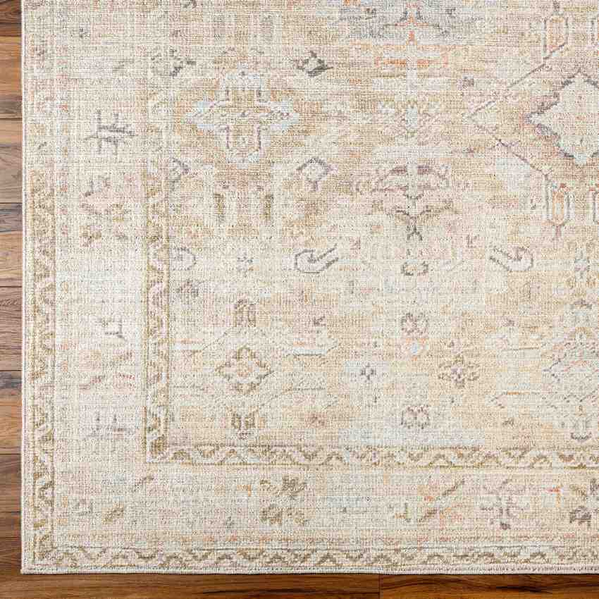 Marlene Traditional Medium Brown Area Rug - Becki Owens x Livabliss