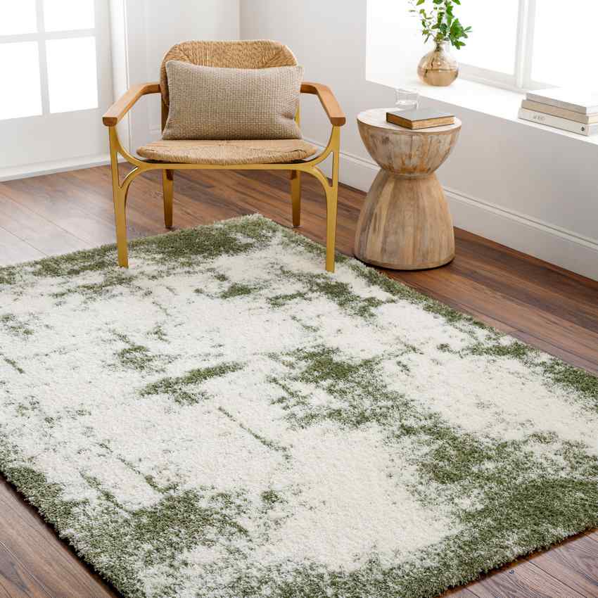 Carlise Modern Dark Moss Area Rug