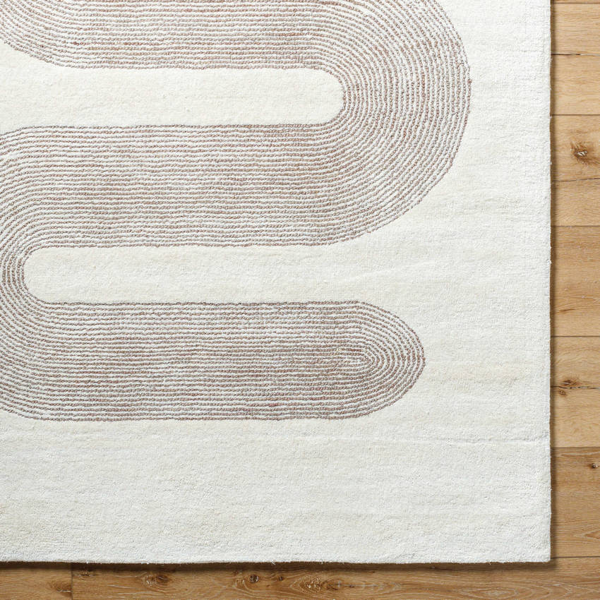 Carla Modern Taupe Area Rug