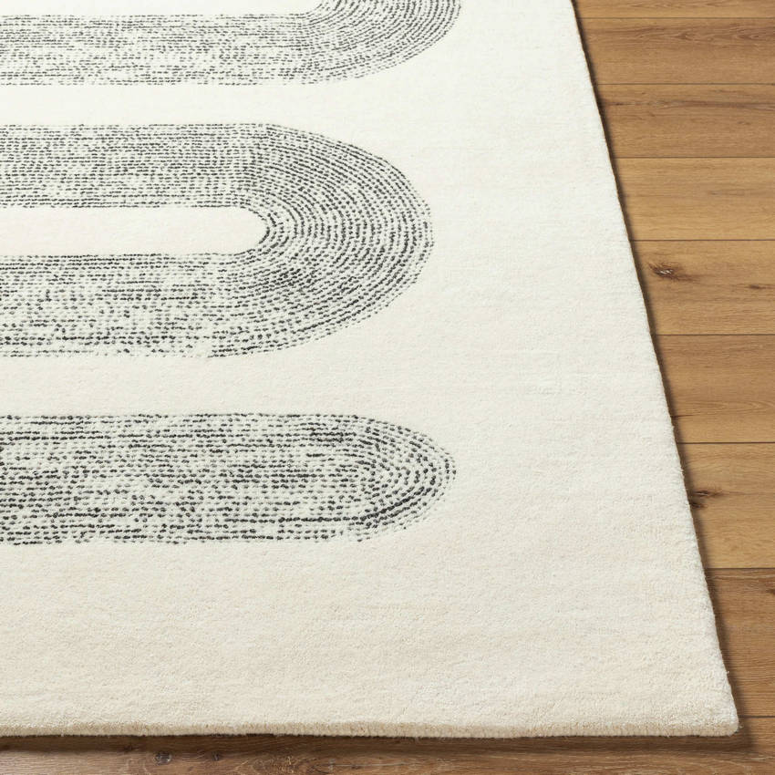 Carla Modern Charcoal Area Rug