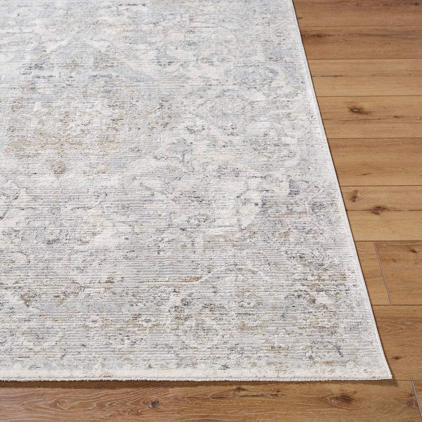Zerrick Traditional Light Gray Area Rug
