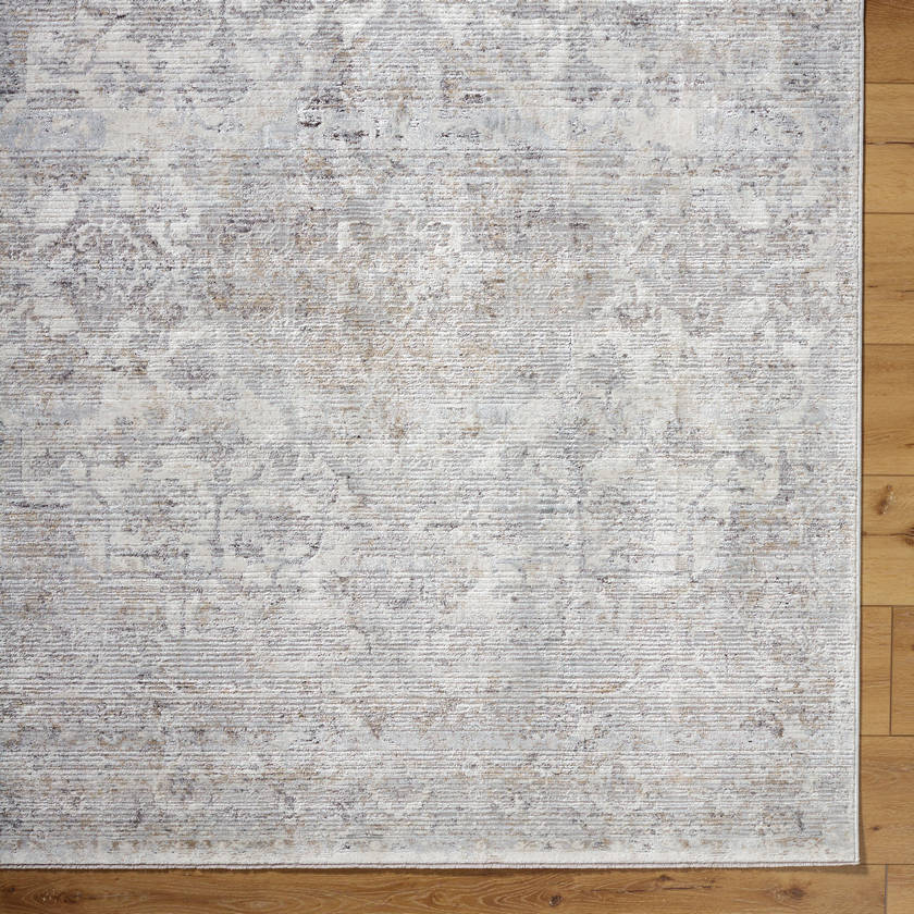 Zerrick Traditional Light Gray Area Rug