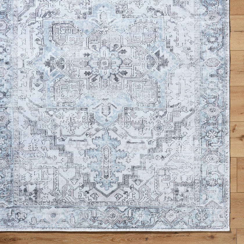 Tamea Traditional Metallic - Silver Area Rug