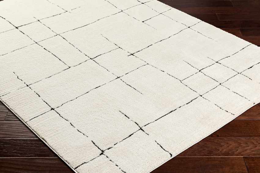 Alexsis Modern Ivory/Black Area Rug