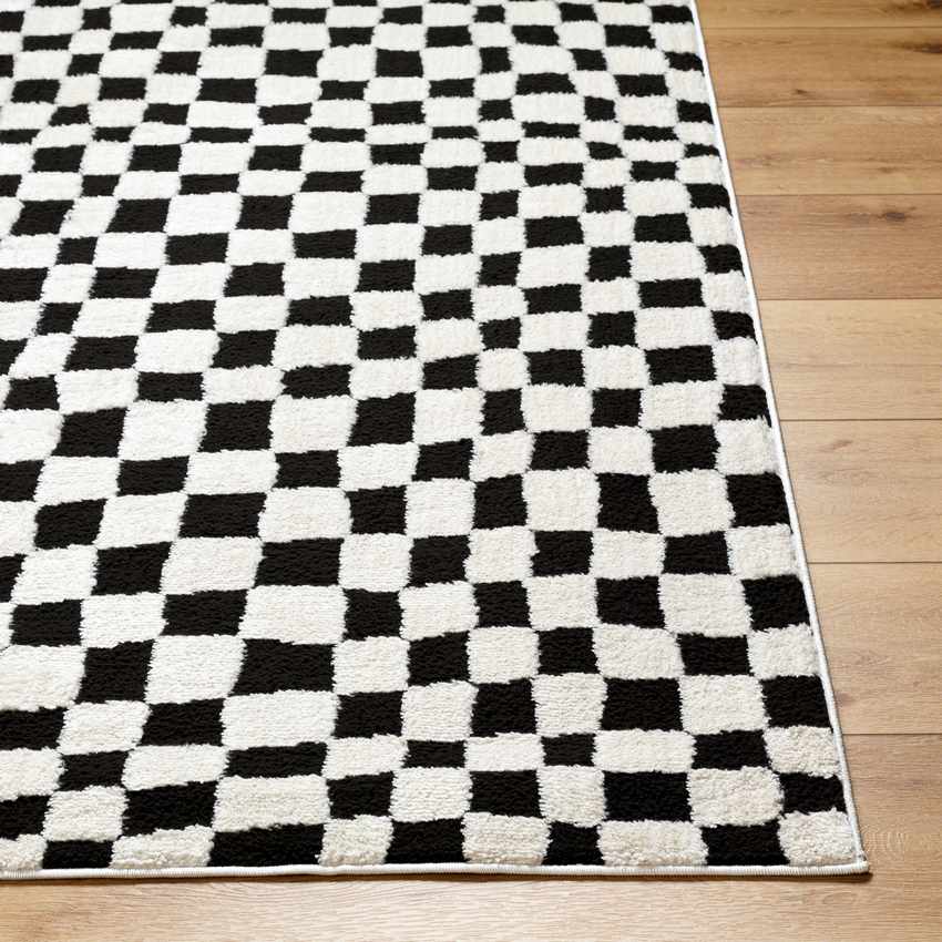 Ilea Modern Black/Ivory Area Rug