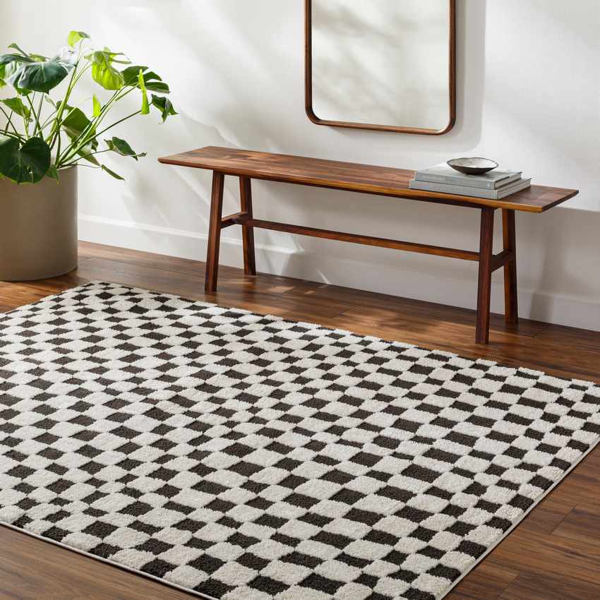 Ilea Modern Black/Ivory Area Rug