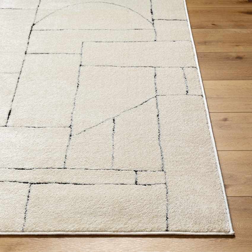 Sheritta Modern Ivory/Black Area Rug
