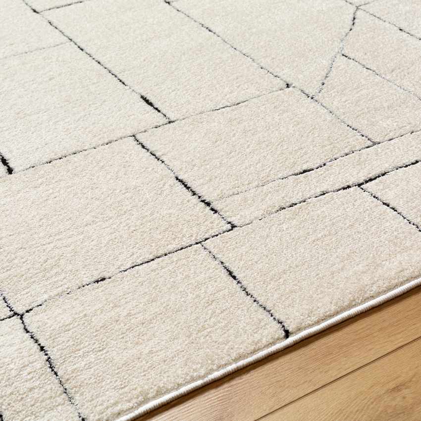 Sheritta Modern Ivory/Black Area Rug