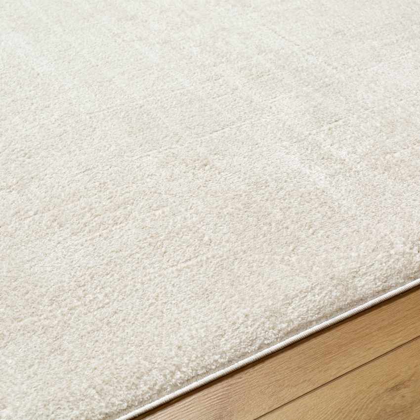 Sheritta Modern Ivory/Off-White Area Rug