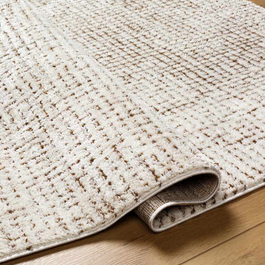 Lajoy Modern Ivory/Brown Area Rug