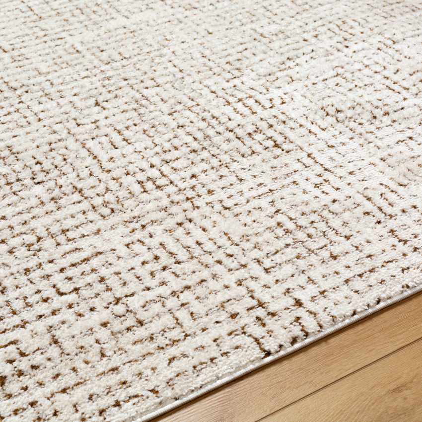 Lajoy Modern Ivory/Brown Area Rug