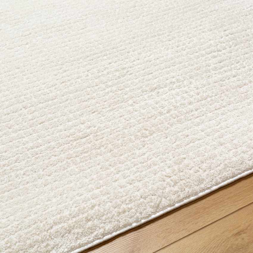 Lajoy Modern Ivory/Off-White Area Rug
