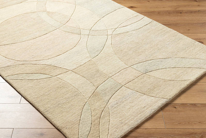 Besancon Modern Ash Area Rug