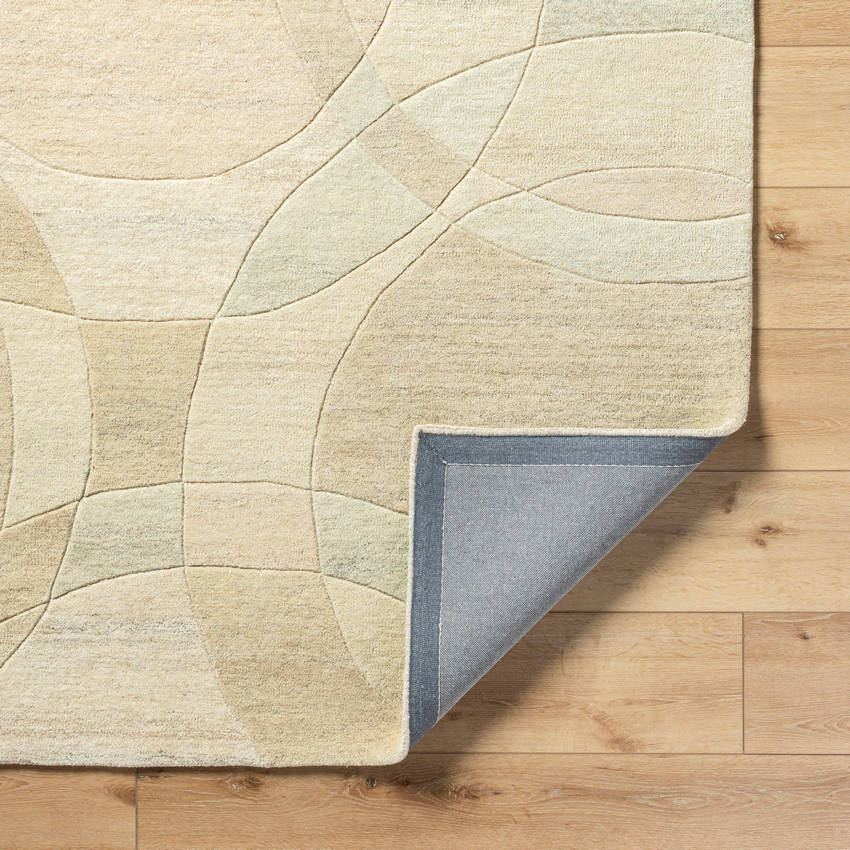 Besancon Modern Ash Area Rug