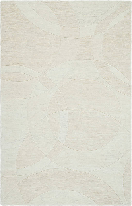 Besancon Modern Light Silver Area Rug