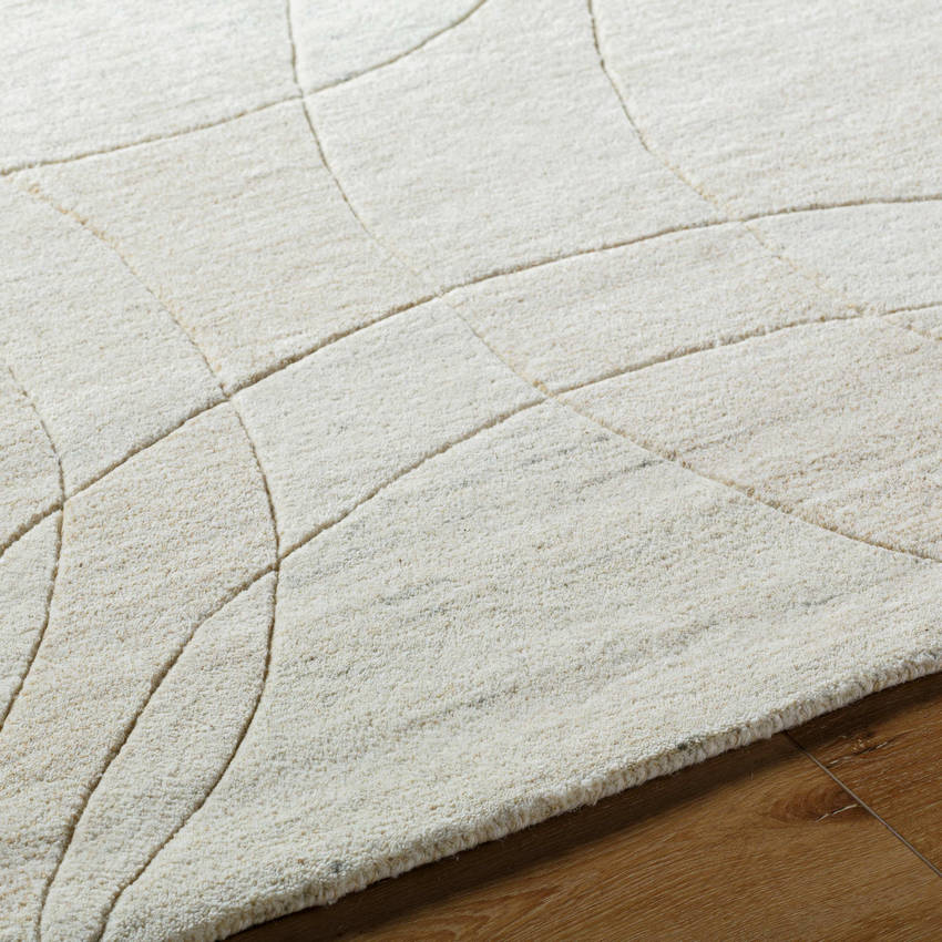 Besancon Modern Light Silver Area Rug