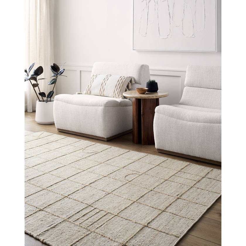 Sharilyn Modern Ash Area Rug