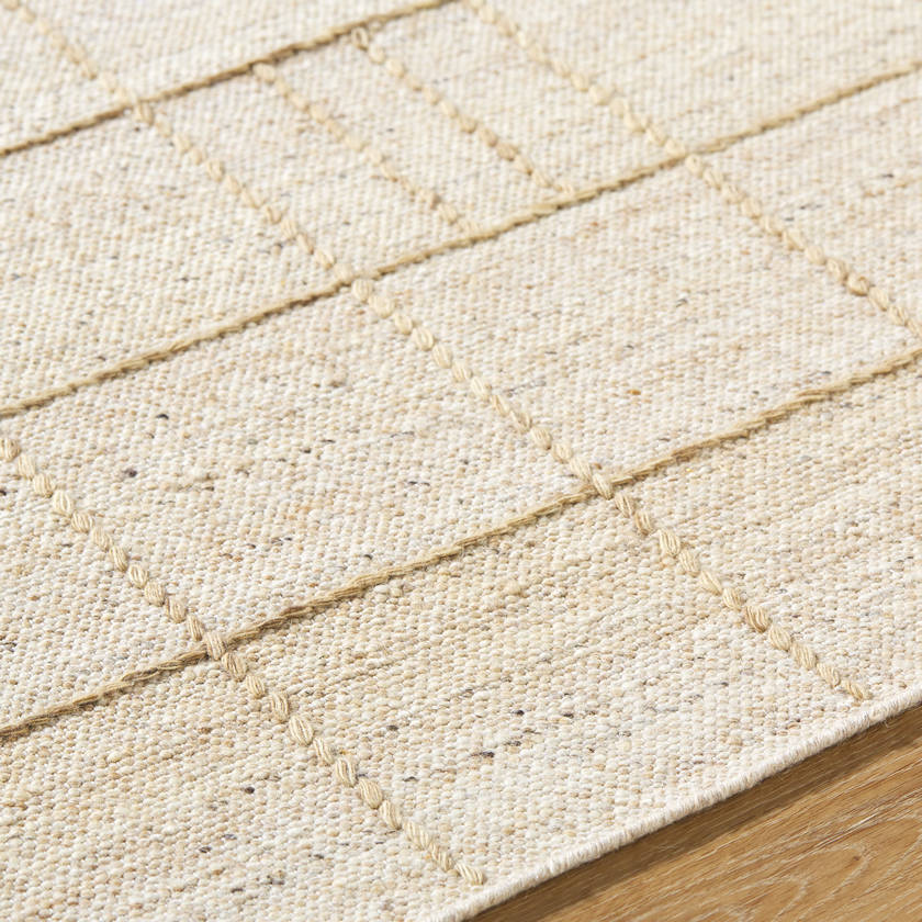 Sharilyn Modern Ash Area Rug