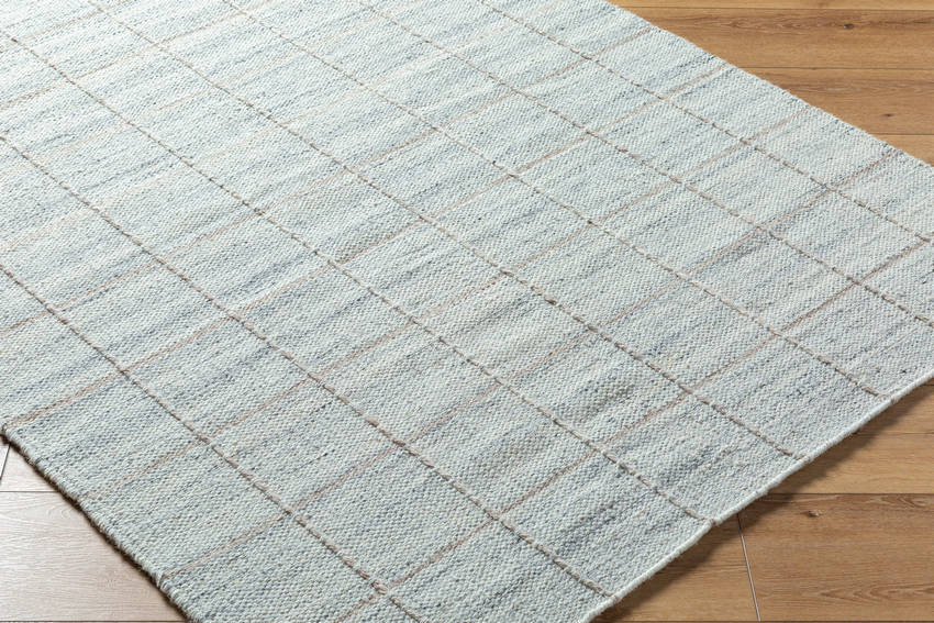 Ishaq Cottage Soft Blue Area Rug